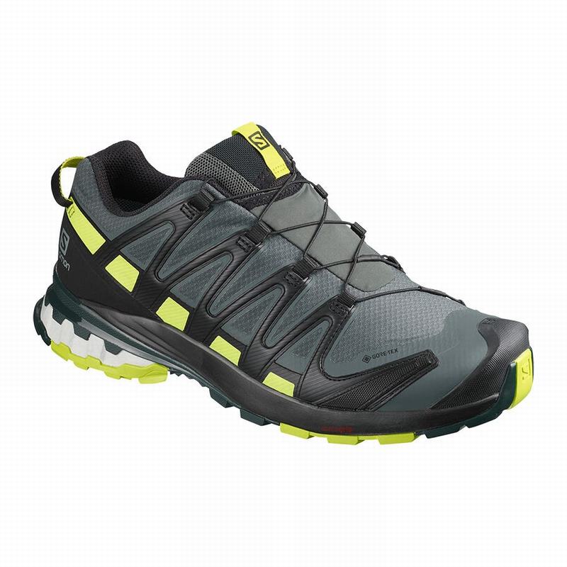 Salomon Singapore Mens Hiking Shoes - XA PRO 3D V8 GORE-TEX Black/Light Green | 34017-RWGO